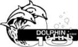 dolphinclub 10